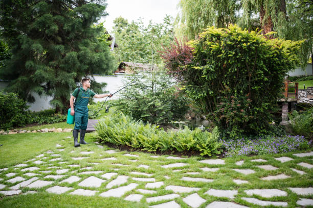 Best Ant Control Services  in Ellitt, CO